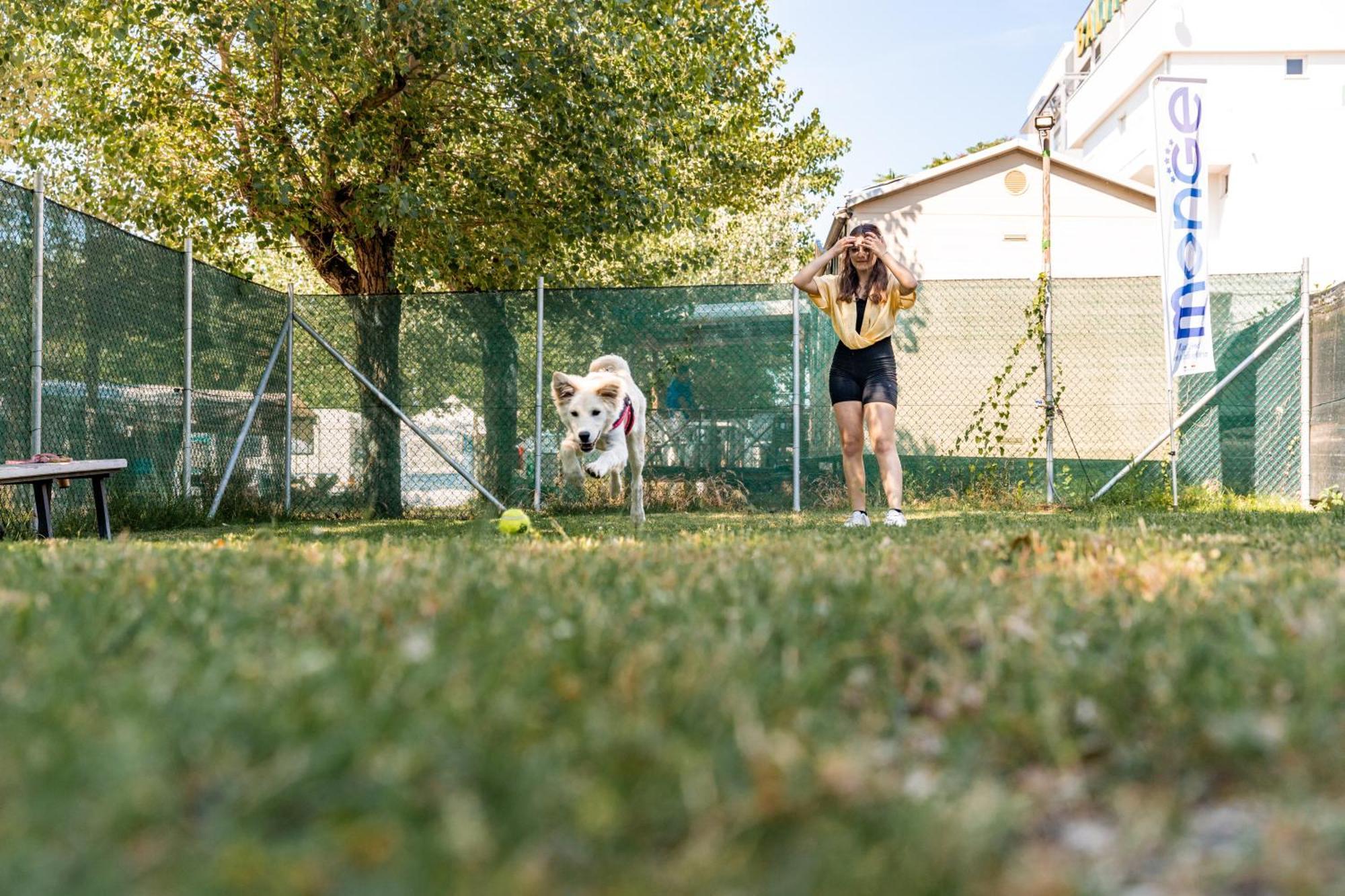 Club Del Sole Riccione Easy Camping Village Exterior foto